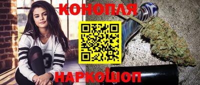 гидра Кингисепп
