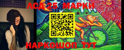 гашик Кимры