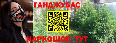 гашик Кимры