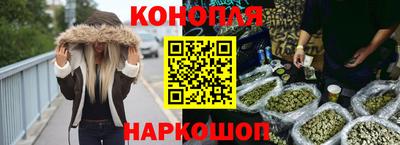 гашик Кимры