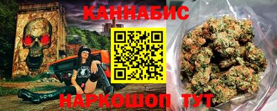 гидра Кингисепп