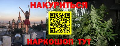 гидра Кингисепп