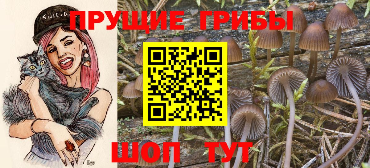 Георгиевск  Галлюциногенные грибы Cubensis  Вход с VPN  Галлюциногенные грибы ЛСД 