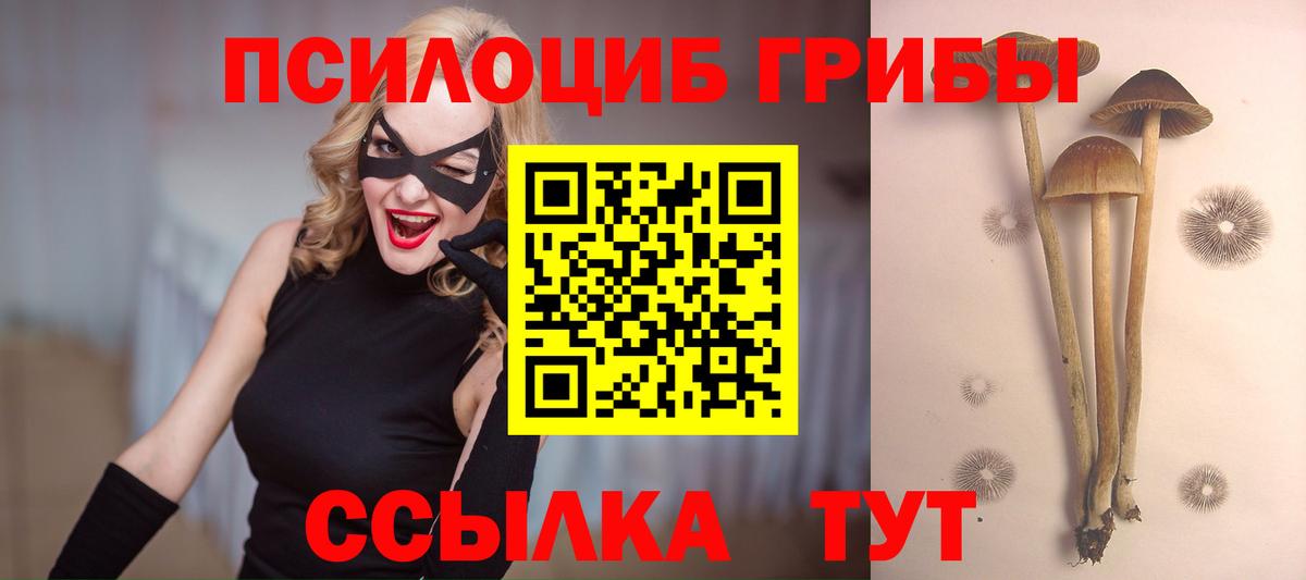 Псилоцибиновые грибы мухоморы Георгиевск